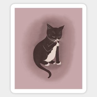 Charlie the Wonder Cat Sticker